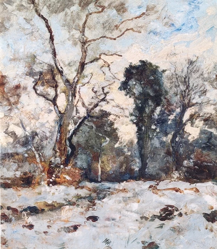 Felci sotto la neve